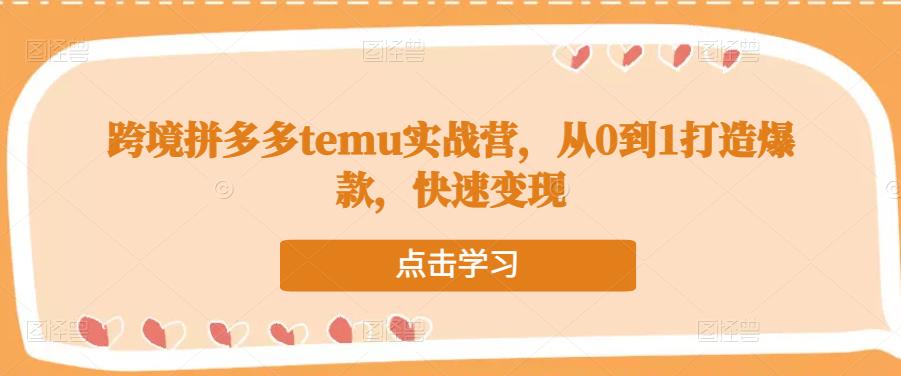 图片[1]-跨境拼多多TEMU实战营，从0到1打造爆款，快速变现