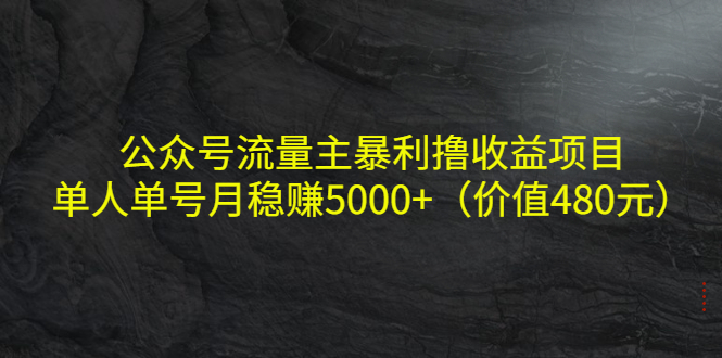 图片[1]-公众号流量主暴利撸收益项目，单人单号月稳赚5000+（价值480元）