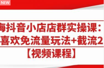 图片[1]-大海抖音小店店群实操课：猜你喜欢免流量玩法+截流 2.0