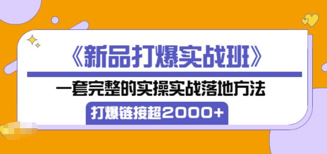 图片[1]-凌童《新品打爆实战班》,一套完整的实操实战落地方法，打爆链接超2000+（28节课)