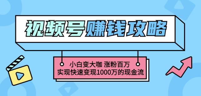 图片[1]-玩转微信视频号赚钱：小白变大咖涨粉百万实现快速变现1000万的现金流