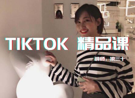 图片[1]-TIKTOK精品实操课,单账号最高成绩210W粉丝，单条视频最高300W点赞