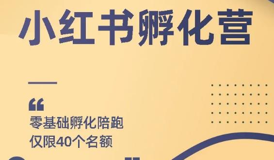图片[1]-勇哥小红书撸金快速起量项目：教你如何快速起号获得曝光，做到月躺赚在 3000+