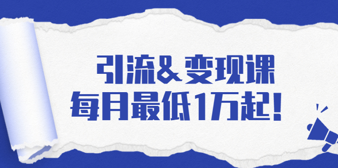 图片[1]-引流&变现课：分享一整套流量方法以及各个渠道收入，每月最低1万起！