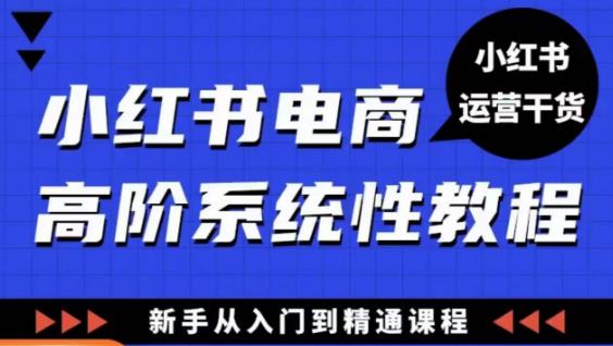 图片[1]-小红书电商高阶系统教程，新手从入门到精通系统课