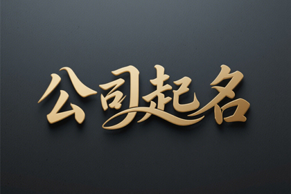 金融类的公司名字 吉利的金融公司名字