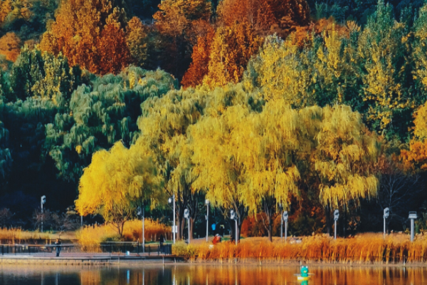 北京市旅游景点，北京必打卡十大景点