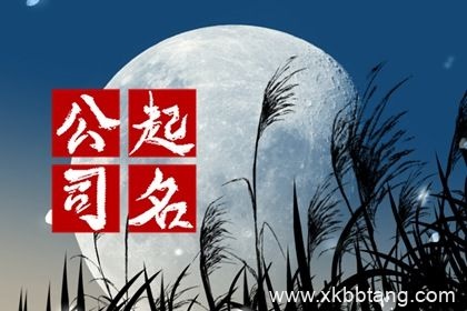 大气有格局的三个字公司名字 公司名称怎么取好3字