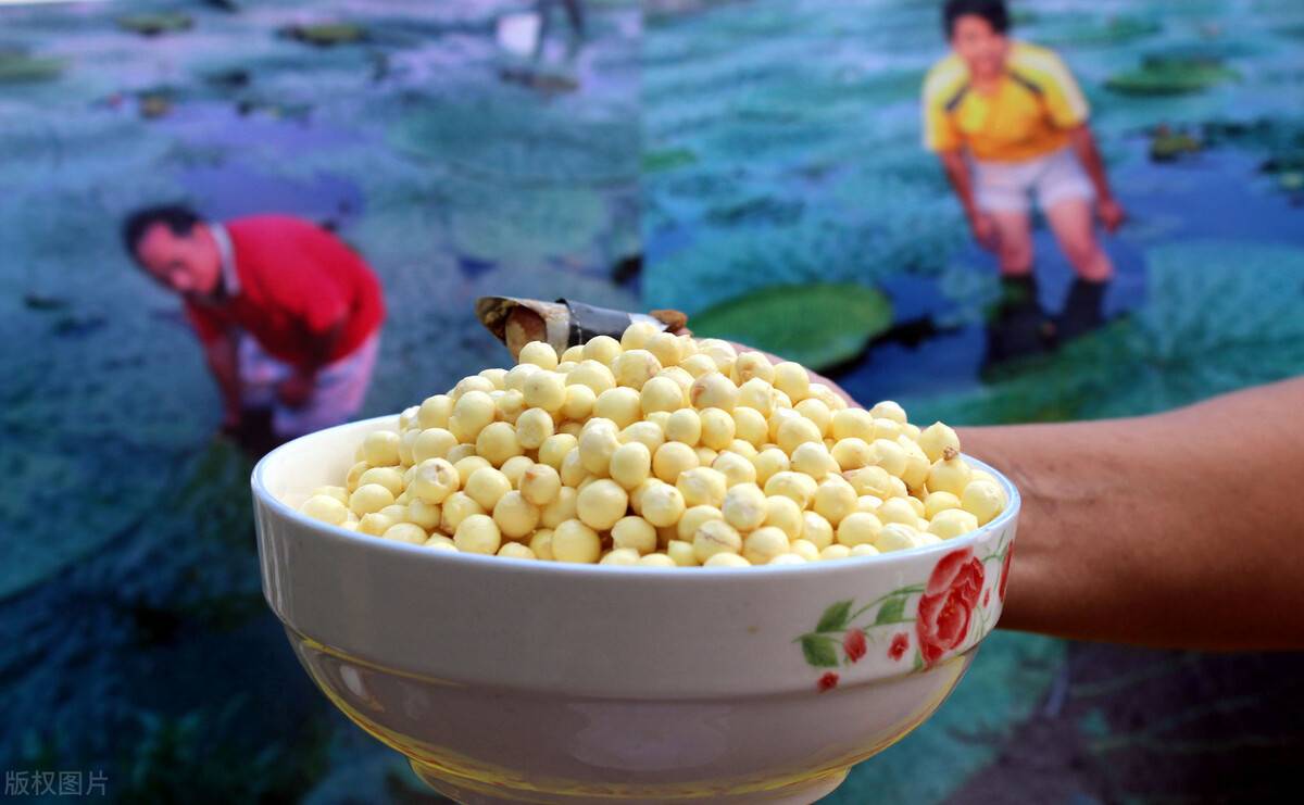苏州的特产有哪些？苏州的特色水果有哪些？