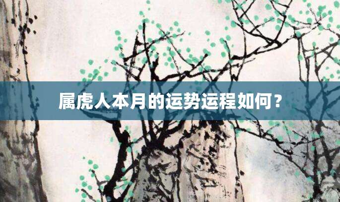 属虎人本月的运势运程如何?